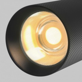 Светильник на штанге Maytoni Artisan TR097-2-12W2.7K-M-BB в Казани - kazan.ok-mebel.com | фото 9