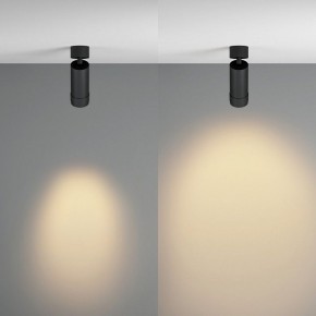 Светильник на штанге Maytoni Focus Zoom C055CL-L12W2.7K-Z-B в Казани - kazan.ok-mebel.com | фото 3