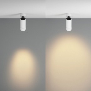 Светильник на штанге Maytoni Focus Zoom C055CL-L12W2.7K-Z-W в Казани - kazan.ok-mebel.com | фото 3